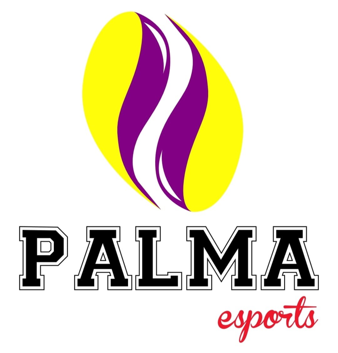 Logo Palmasports